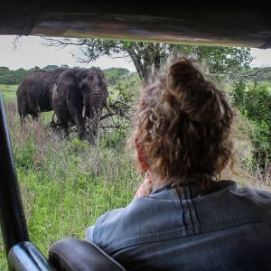 iSimangaliso wetland park safari